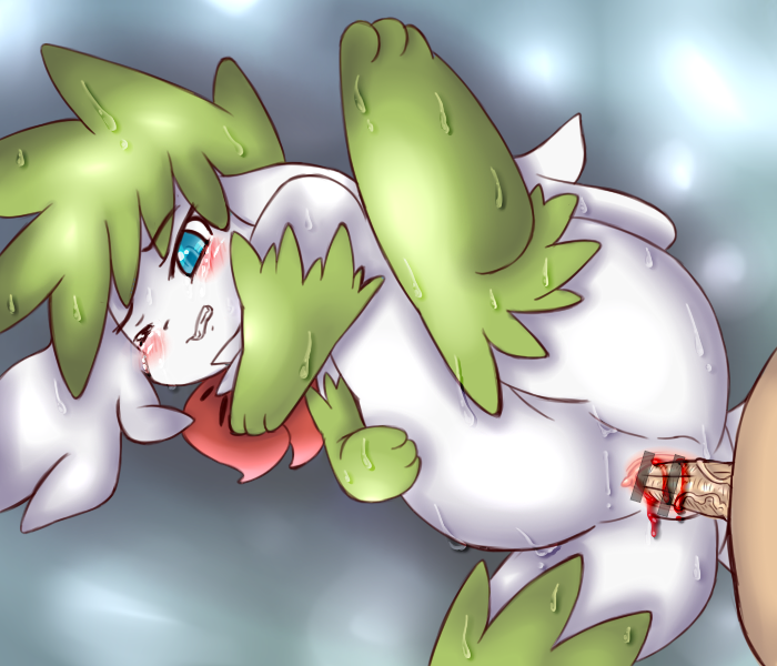 Rule34 – If it exists, there is porn of it / shaymin / 83134