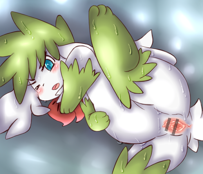 Rule34 – If it exists, there is porn of it / shaymin / 83136