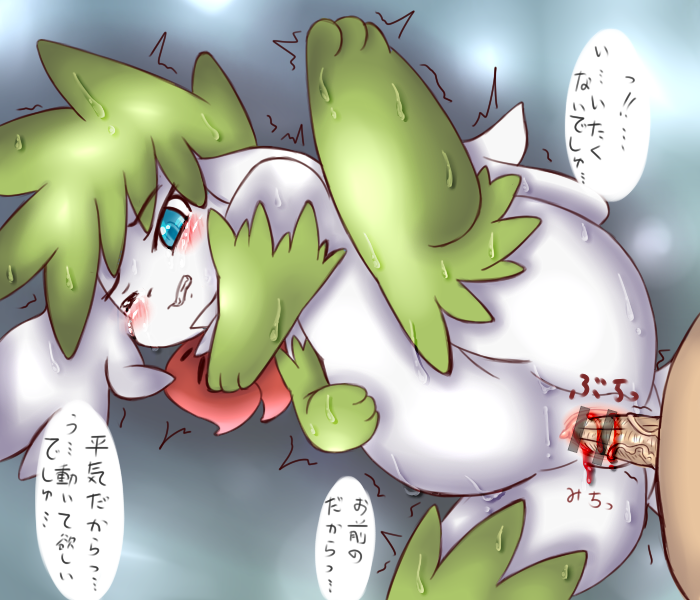 Rule34 – If it exists, there is porn of it / shaymin / 83139
