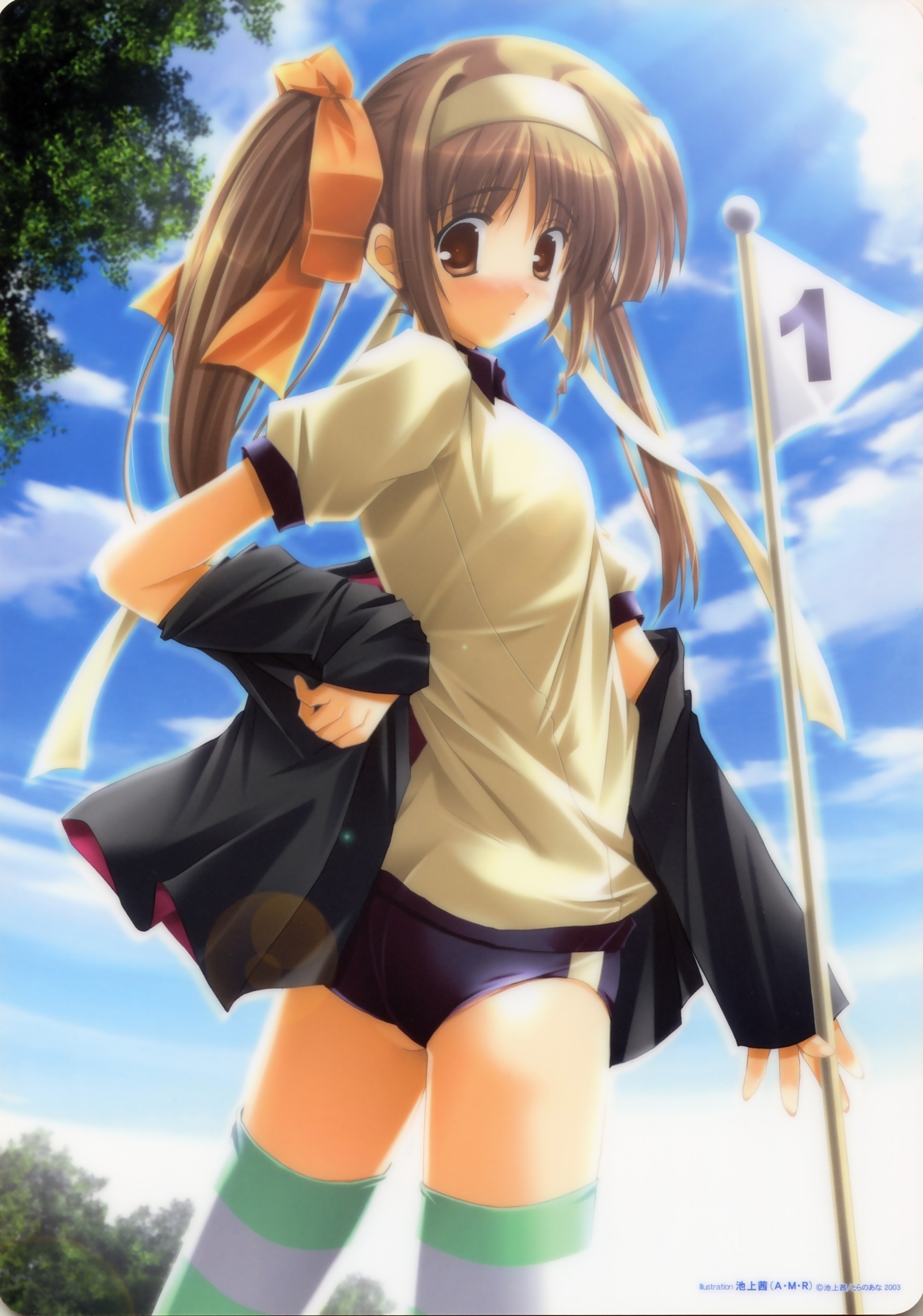 ikegami akane, highres, band (music), brown eyes, brown hair, buruma, cloud, day, gym uniform, hair ribbon, headband, long hair, ribbon, sky, solo, striped clothes, striped thighhighs, thighhighs, twintails