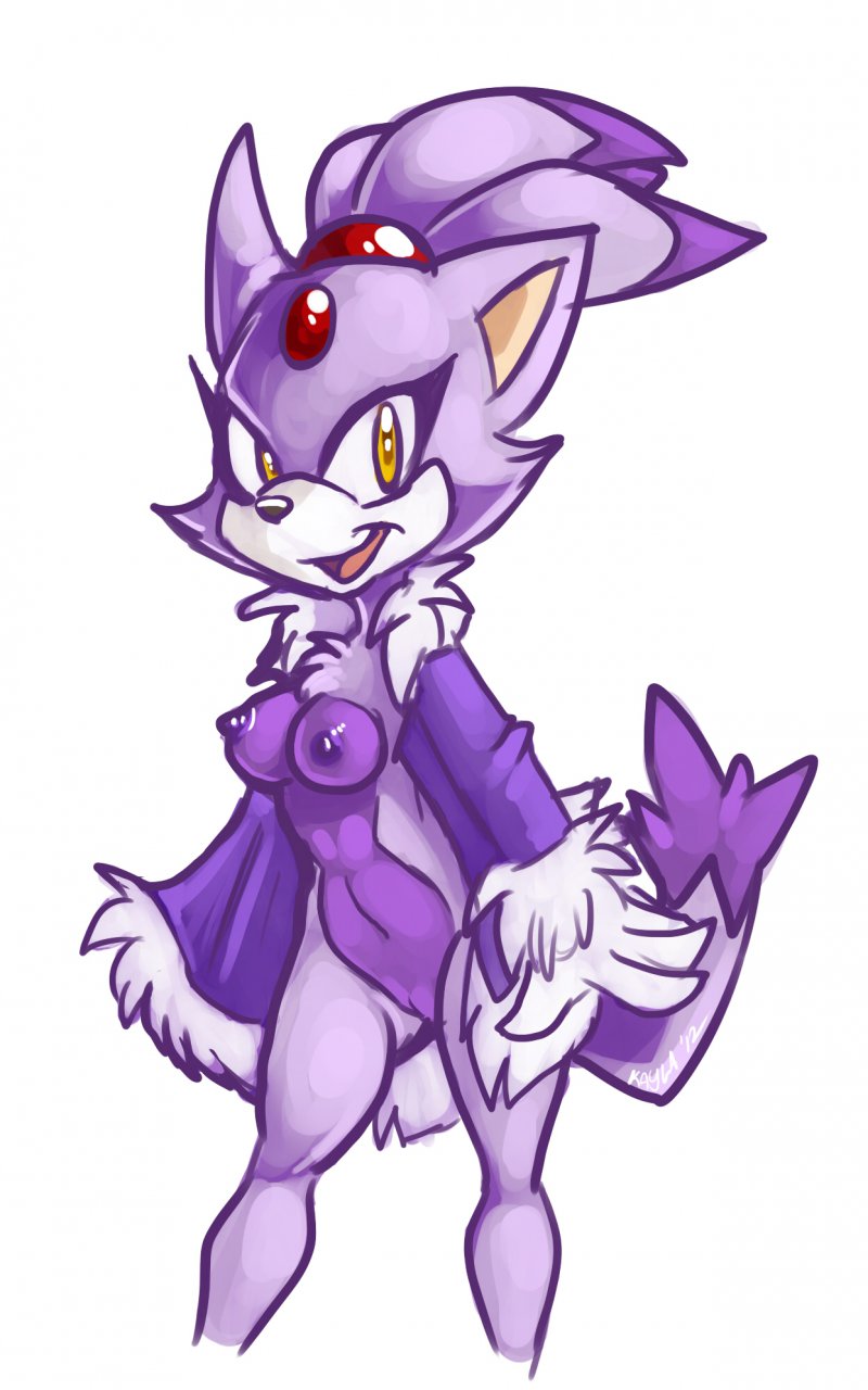 Rule34 – If it exists, there is porn of it / mel the hybrid, blaze the cat / 83328