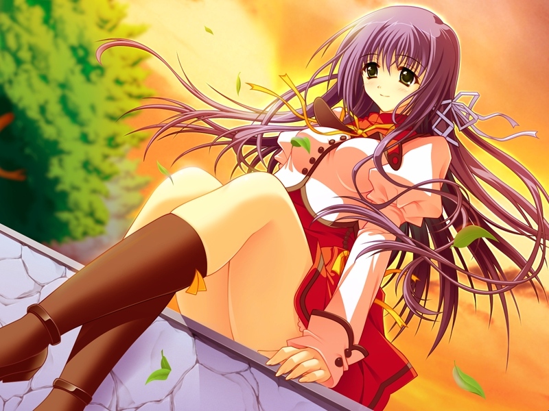 akira (usausa), niukawakami mizuha, nostradamus ni kiite miro, wall, game cg, 1girl, female focus, from below, green eyes, leaf, legs, long hair, looking down, looking up, outdoors, purple hair, school uniform, serafuku, sitting, solo, sunset, wind