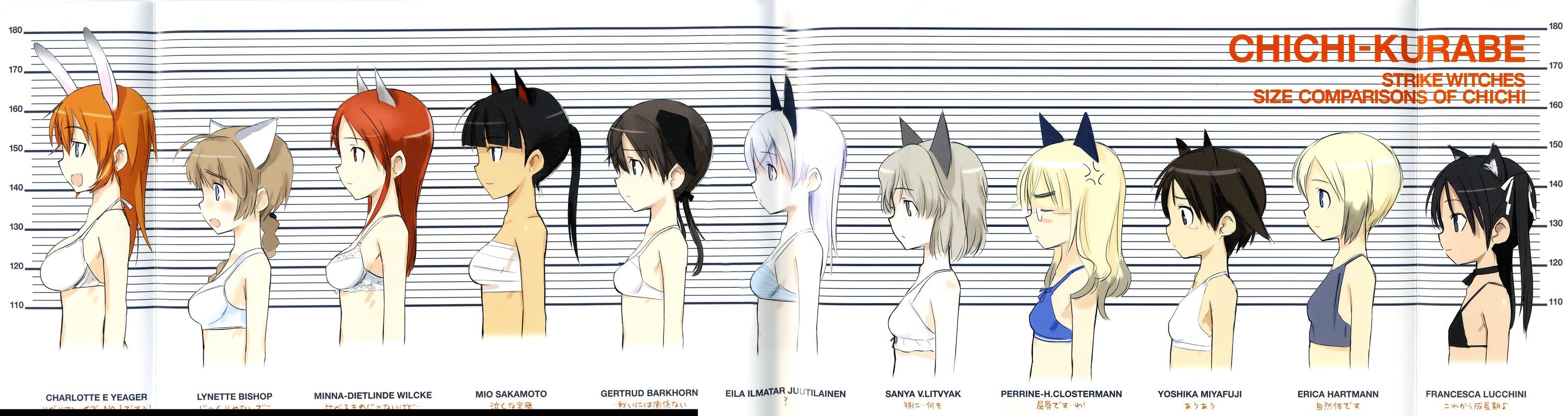 shimada fumikane, charlotte e. yeager, eila ilmatar juutilainen, erica hartmann, francesca lucchini, gertrud barkhorn, lynette bishop, minna-dietlinde wilcke, miyafuji yoshika, perrine h. clostermann, sakamoto mio, sanya v. litvyak, strike witches, world witches series, highres, jpeg artifacts, long image, wide image, 00s, 501st joint fighter wing, 6+girls, animal ears, bra, bust chart, cat ears, comparison, dog ears, everyone, flat chest, lingerie, multiple girls, ponytail, rabbit ears, rabbit girl, underwear