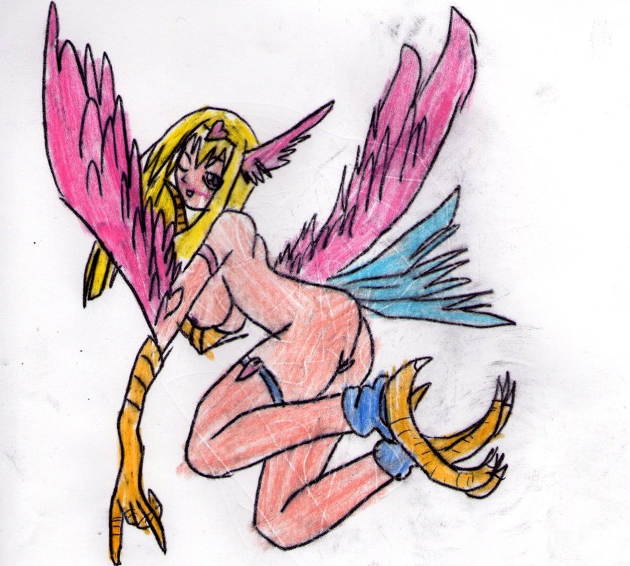Rule34 – If it exists, there is porn of it / harpie girl / 84521