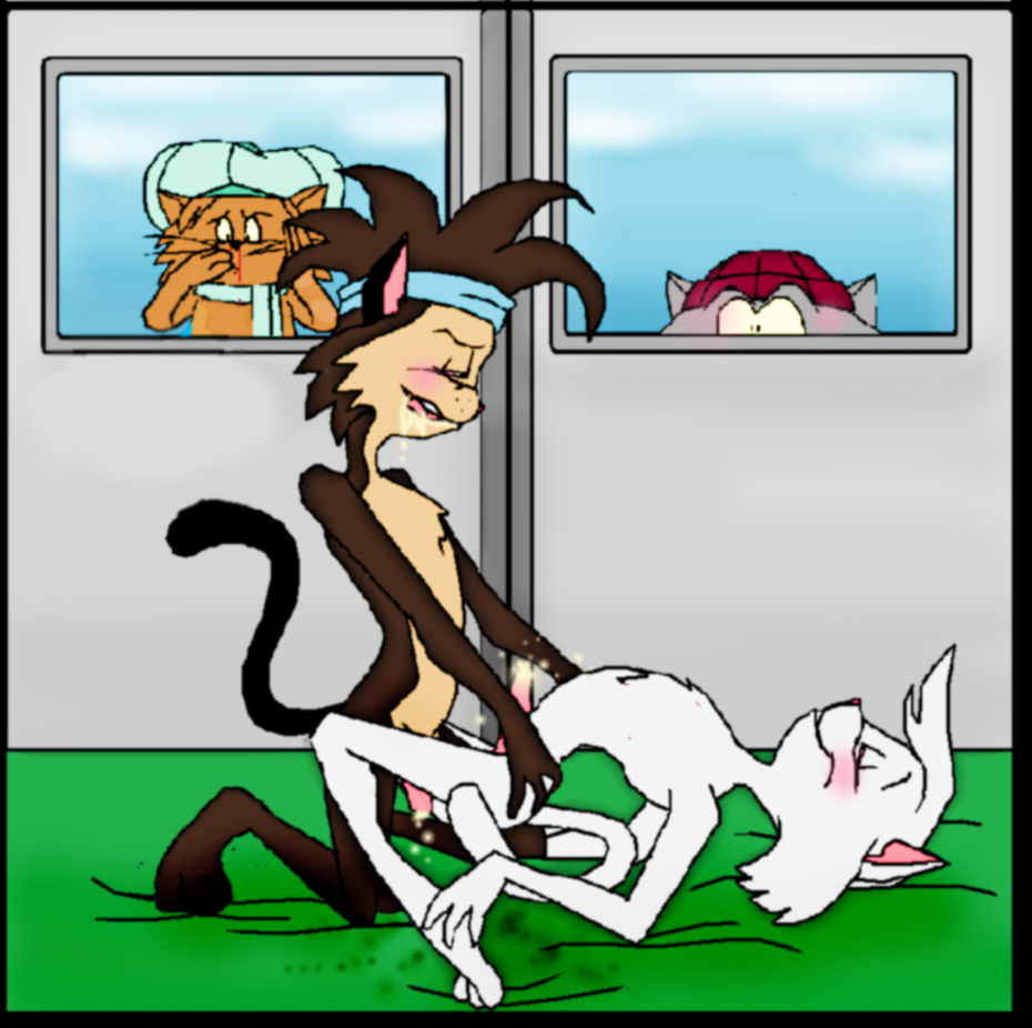Rule34 – If it exists, there is porn of it / hector (catillac cats), mungo, riff-raff, wordsworth / 84575