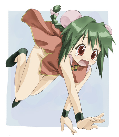 takano natsuki, mei mei (nagasarete airantou), nagasarete airantou, lowres, 00s, 1girl, braid, china dress, chinese clothes, dress, falling, female focus, green hair, no panties, open mouth, outside border, solo, tears, wavy mouth
