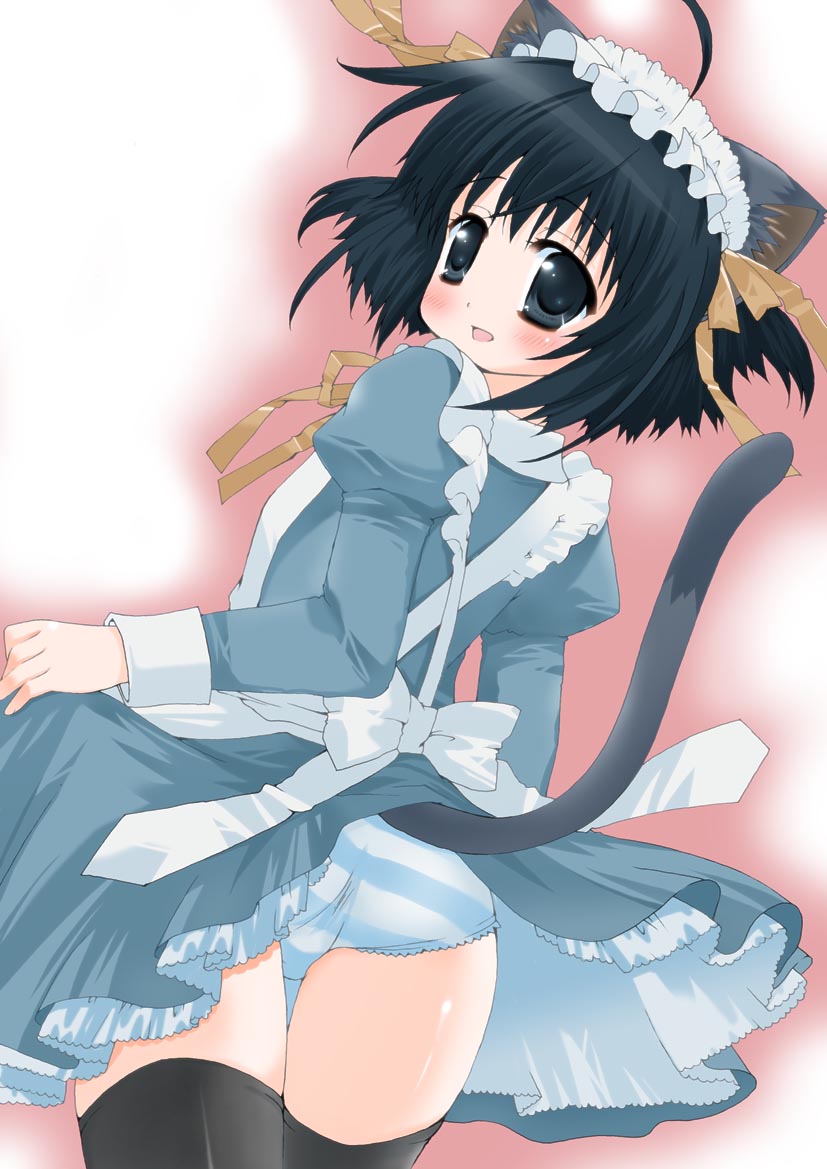 kuro (nyago kuromaru), animal ears, cat ears, cat tail, maid, panties, solo, striped clothes, striped panties, tail, thighhighs, underwear, zettai ryouiki
