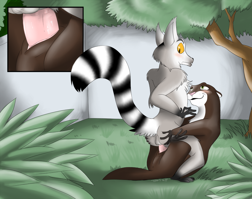 Rule34 – If it exists, there is porn of it / king julien / 85939