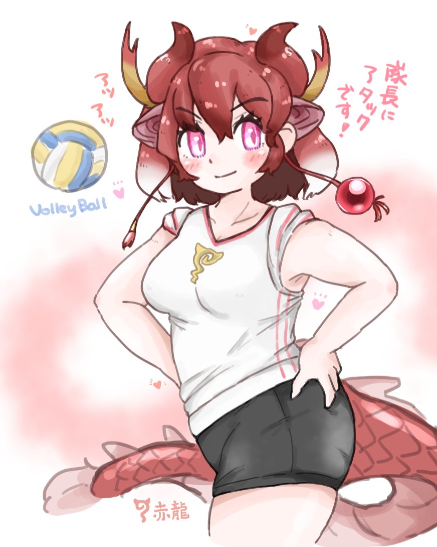 miyakko, red dragon (kemono friends), kemono friends, translation request, alternate costume, animal ears, bike shorts, black shorts, blush, collarbone, cowboy shot, dragon ears, dragon girl, dragon horns, dragon tail, extra ears, glowing, glowing eyes, hair between eyes, hand on own hip, horns, japari symbol, multicolored hair, red eyes, red hair, red trim, shirt, short hair, short sleeves, shorts, sidelocks, sleeves rolled up, smile, sportswear, t-shirt, tail, volleyball, volleyball uniform, white hair, white shirt