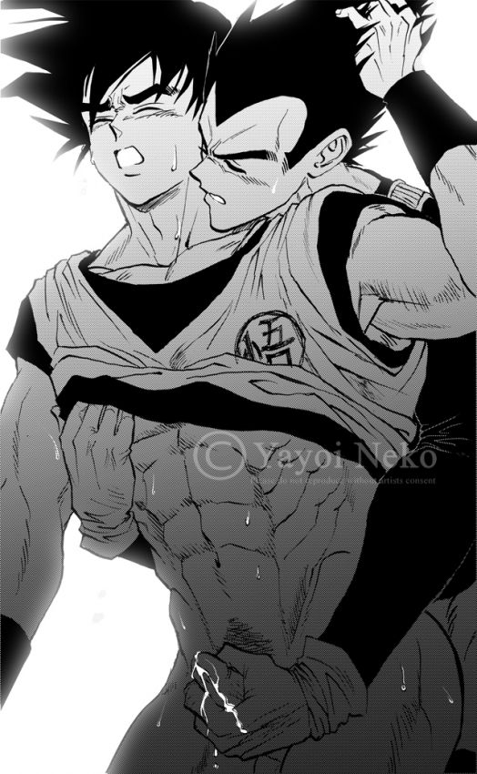 Rule34 – If it exists, there is porn of it / yayoi neko, son goku, vegeta / 86748