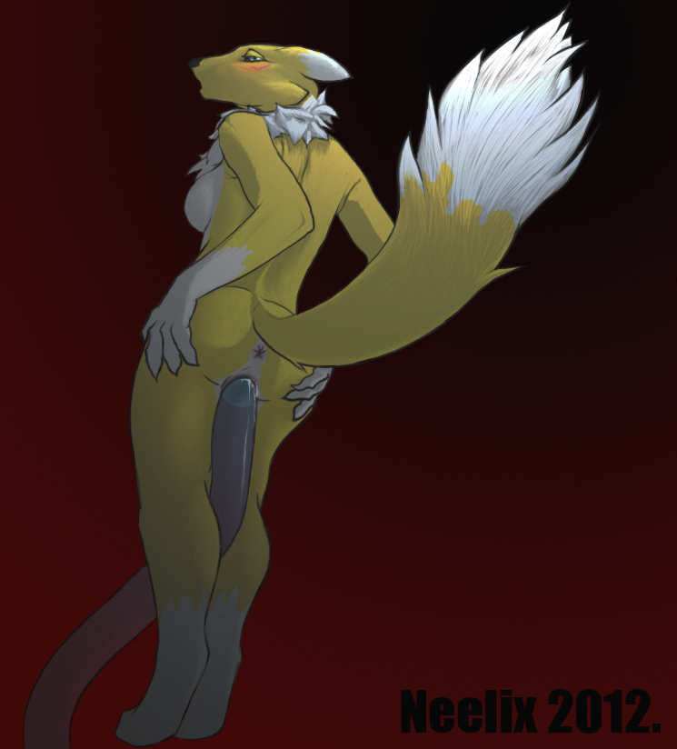 Rule34 – If it exists, there is porn of it / neelix, renamon / 86957