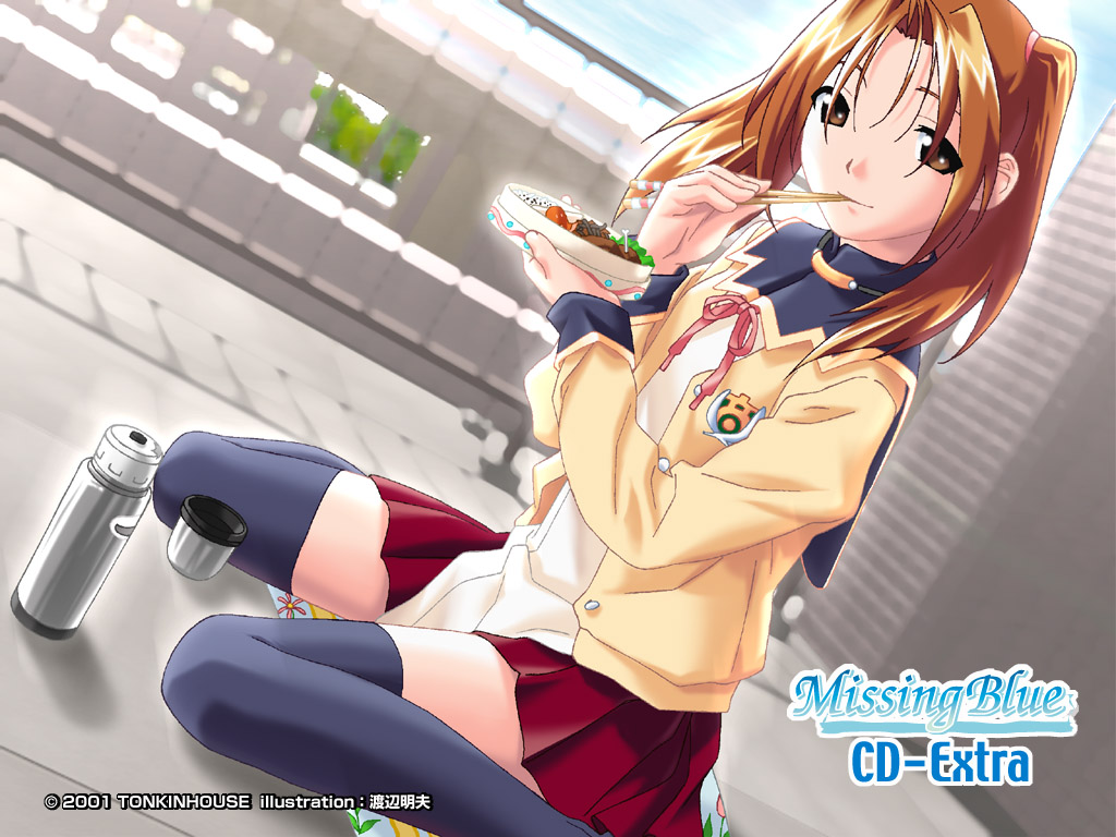 watanabe akio, missing blue, 1girl, brown eyes, brown hair, chopsticks, eating, female focus, food, school uniform, serafuku, sitting, skirt, solo, thermos, thighhighs, twintails, zettai ryouiki