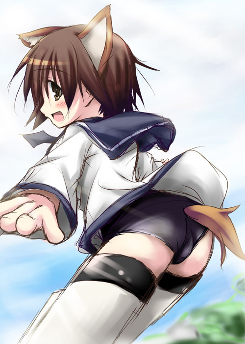 tekehiro, miyafuji yoshika, strike witches, world witches series, 00s, 1girl, animal ears, black one-piece swimsuit, female focus, no pants, one-piece swimsuit, school swimsuit, solo, striker unit, swimsuit, swimsuit under clothes, tail