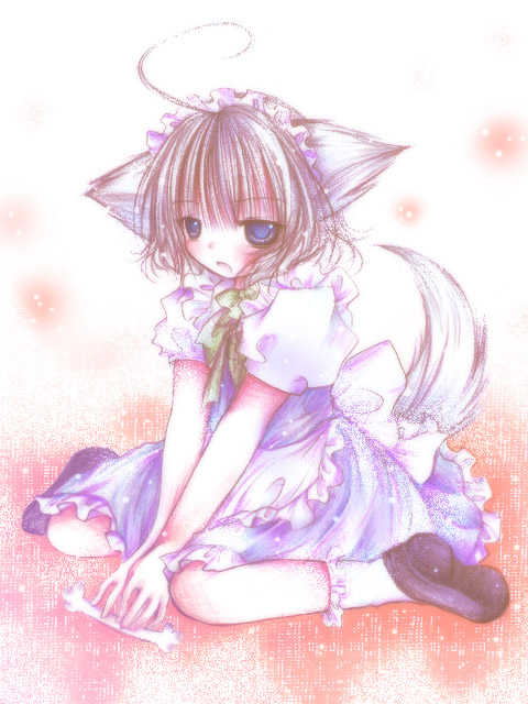 kasuga sunao, inu sakuya (nejikirio), izayoi sakuya, touhou, 1girl, ahoge, animal ears, bone, dog ears, dog tail, female focus, kemonomimi mode, kneeling, solo, tail
