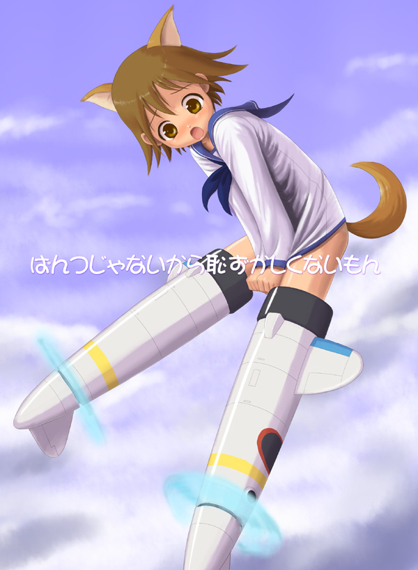 harak, miyafuji yoshika, strike witches, world witches series, translated, 00s, 1girl, animal ears, blush, brown eyes, brown hair, covering crotch, covering privates, day, embarrassed, female focus, no panties, school uniform, serafuku, shirt tug, short hair, sky, solo, striker unit, tail, they're not panties