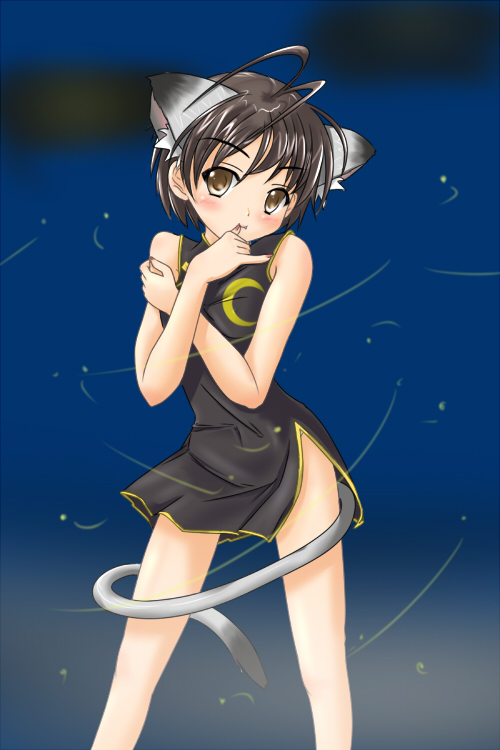 mizukiryan, 1girl, animal ears, antenna hair, black hair, blush, brown eyes, cat ears, cat tail, china dress, chinese clothes, dress, female focus, moon, short hair, solo, tail