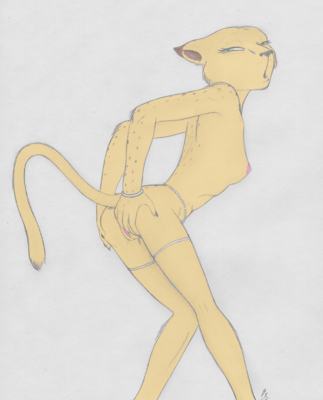 Rule34 – If it exists, there is porn of it / azirik, mirri cat warrior / 87918