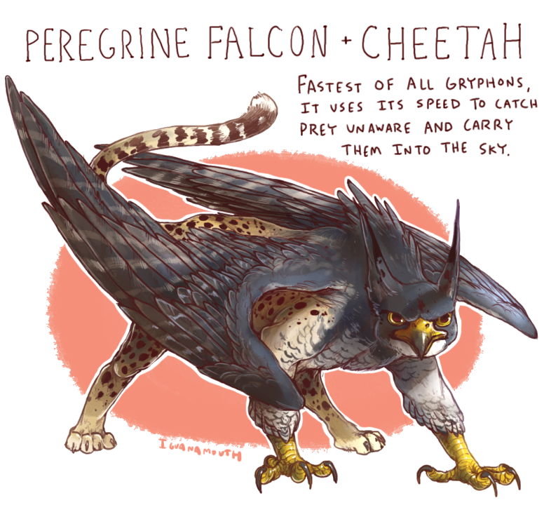 iguanamouth, original, commentary, english commentary, animal, animal focus, animal name, artist name, bird, border, brown fur, cheetah, claws, colored sclera, creature, creature focus, ears up, english text, falcon, fantasy, feathered wings, full body, glaring, grey feathers, griffin, looking at viewer, no humans, orange background, peregrine falcon, simple background, standing, talons, white border, wings, yellow eyes, yellow sclera