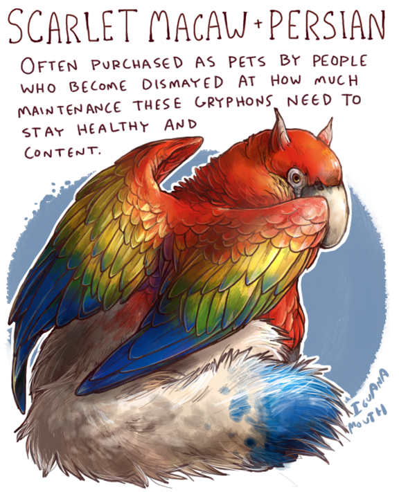 iguanamouth, original, commentary, english commentary, animal, animal focus, animal name, artist name, bird, blue background, blue feathers, blue tail, blue wings, border, cat, creature, creature focus, english text, fantasy, feathered wings, feathers, full body, griffin, looking back, macaw, multicolored tail, multicolored wings, no humans, parrot, persian cat, red feathers, red wings, scarlet macaw, simple background, sitting, tail, white border, wings, yellow feathers, yellow wings