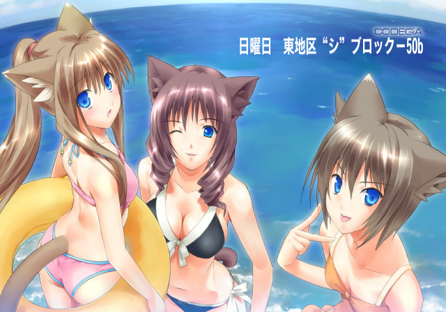 minamino kanata, original, 3girls, animal ears, bikini, blue eyes, cat ears, cat tail, innertube, multiple girls, swim ring, swimsuit, tail