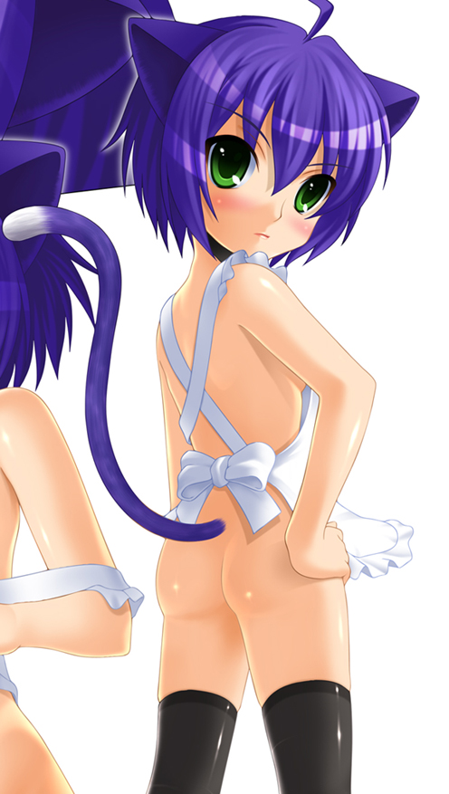 komaki ren, midarezaki kyouka, kyouran kazoku nikki, 00s, 1girl, animal ears, apron, female focus, loli, naked apron, solo, tail, thighhighs