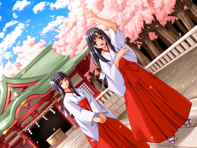pochi katou, aki no miko, banshuu no miko, game cg, non-web source, 2girls, :d, black hair, box, cherry blossoms, closed eyes, donation box, hakama, hakama skirt, japanese clothes, long hair, miko, multiple girls, open mouth, petals, red hakama, rope, sandals, shide, shimenawa, shrine, skirt, smile, tabi, waving