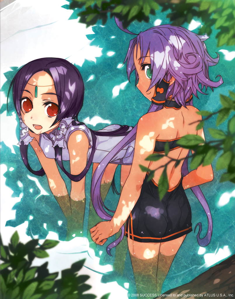 bunbun, aegil, igraine, atlus, itsuwari no rondo, rondo of swords, success, official art, 2008, 2girls, :d, ahoge, ass, back, bare shoulders, blurry, breasts, china dress, chinese clothes, circlet, company name, dappled sunlight, dated, day, depth of field, dress, flipped hair, from behind, green eyes, hair tubes, leaf, light smile, long hair, looking at viewer, multiple girls, open mouth, outdoors, profile, purple hair, red eyes, shadow, short dress, short hair with long locks, sidelocks, small breasts, smile, standing, sunlight, swimsuit, tree, turtleneck, twintails, wading, water, wet, wet clothes