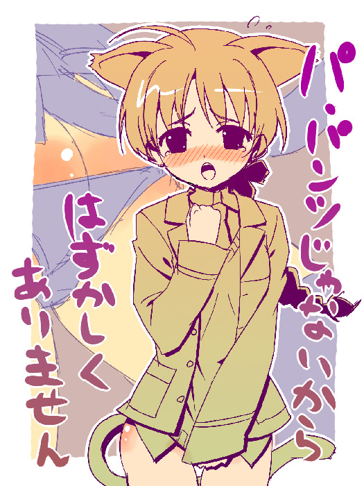 osa (osaosa), lynette bishop, strike witches, world witches series, bad id, bad pixiv id, 00s, 1girl, animal ears, blush, braid, cat ears, female focus, oekaki, single braid, solo, striped clothes, striped thighhighs, they're not panties, thighhighs