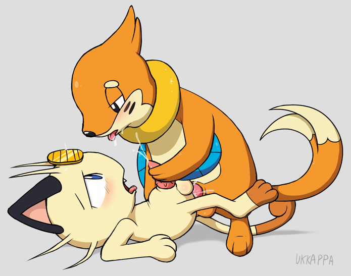 Rule34 – If it exists, there is porn of it / ukkappa, buizel, meowth / 88570