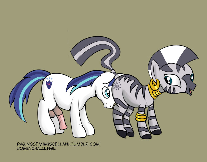 Rule34 – If it exists, there is porn of it / shining armor, zecora (mlp) / 88840