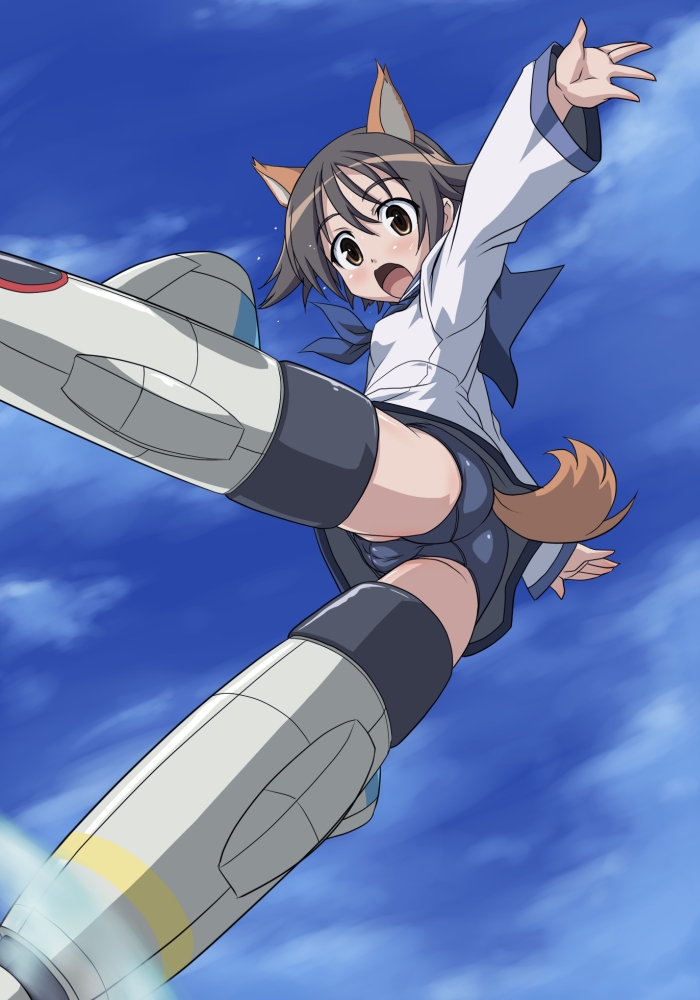 tofu (tf07px), miyafuji yoshika, strike witches, world witches series, 00s, 1girl, animal ears, ass, cameltoe, dog ears, dog tail, female focus, one-piece swimsuit, school swimsuit, solo, striker unit, swimsuit, swimsuit under clothes, tail