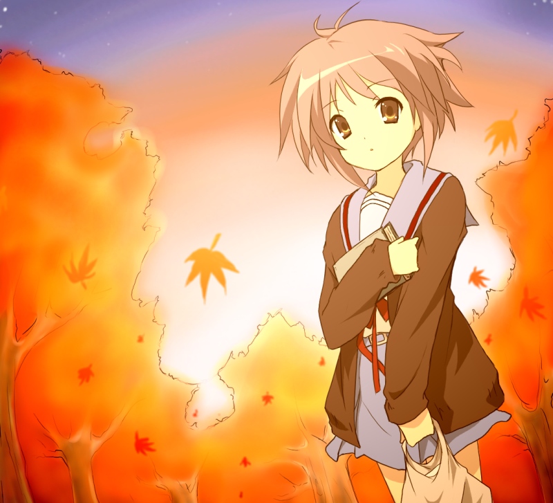 take shinobu, takesinobu, nagato yuki, suzumiya haruhi no yuuutsu, bad id, bad pixiv id, 00s, 1girl, autumn, bag, book, cardigan, female focus, leaf, school uniform, serafuku, solo, sunset, tree