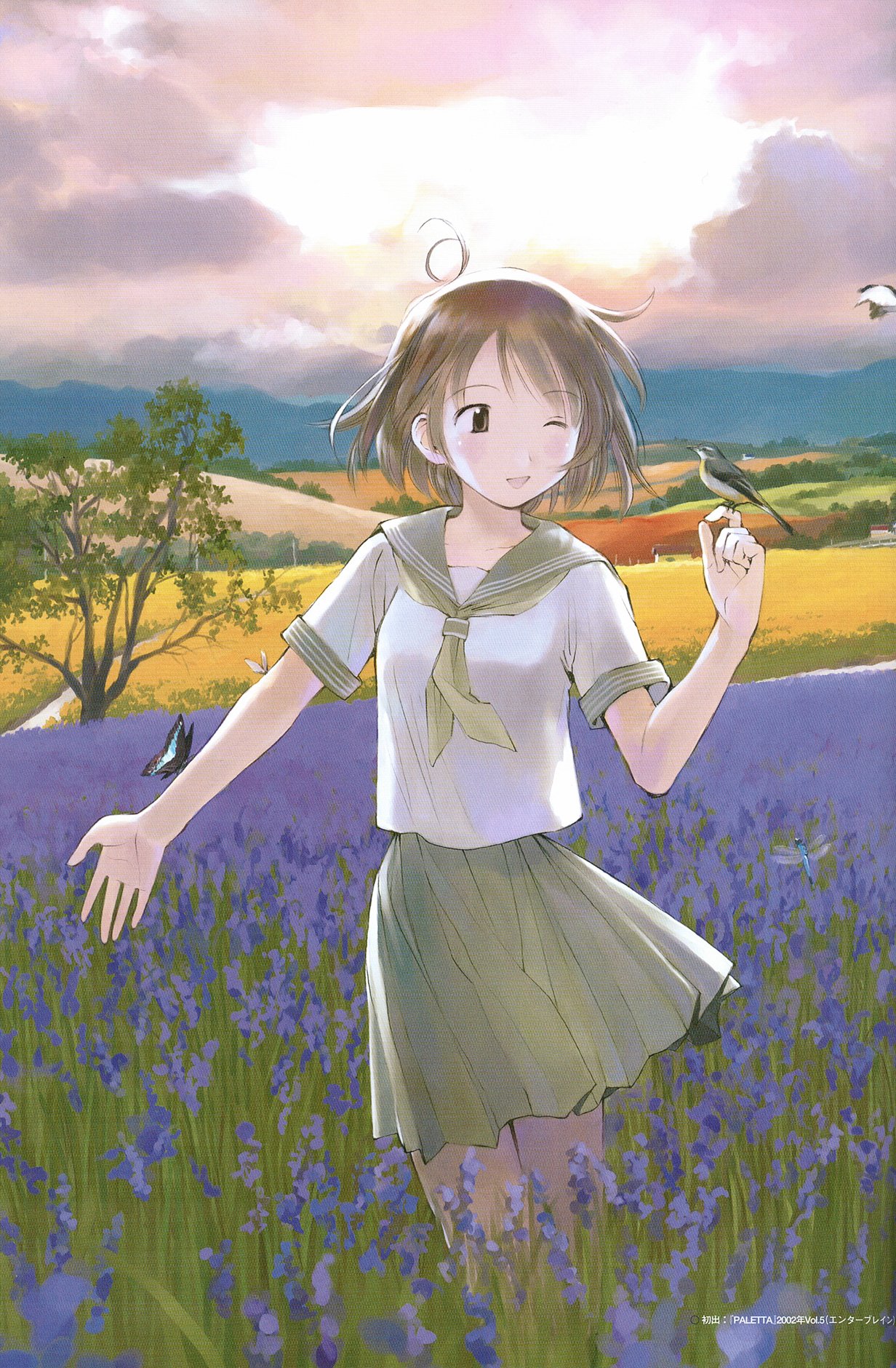 kikuchi yume, mahou tsukai ni taisetsu na koto, highres, scan, 00s, 1girl, ;d, bird, bird on hand, brown hair, bug, butterfly, butterfly on hand, cloud, dragonfly, female focus, field, flower, flower field, insect, one eye closed, open mouth, path, pleated skirt, road, school uniform, serafuku, short hair, skirt, sky, smile, solo, tree, wink