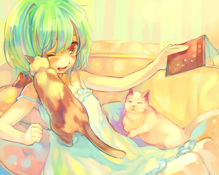 ame yamori, ameya mori, ranka lee, macross, macross frontier, bad id, bad pixiv id, 00s, 1girl, blush, book, cat, female focus, green hair, notebook, one eye closed, pen, short hair, smile, solo, strap slip