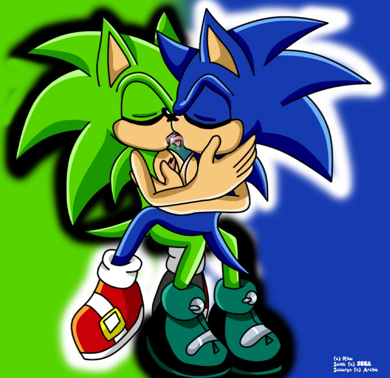Rule34 – If it exists, there is porn of it / scourge the hedgehog, sonic the hedgehog / 90033