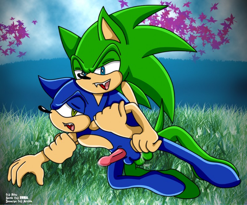 Rule34 – If it exists, there is porn of it / scourge the hedgehog, sonic the hedgehog / 90034