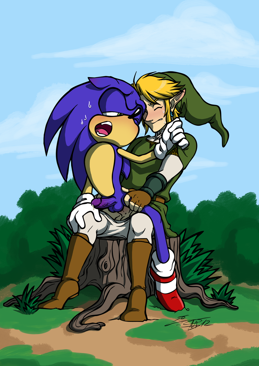 Rule34 – If it exists, there is porn of it / rockgaara, link, sonic the hedgehog / 90105