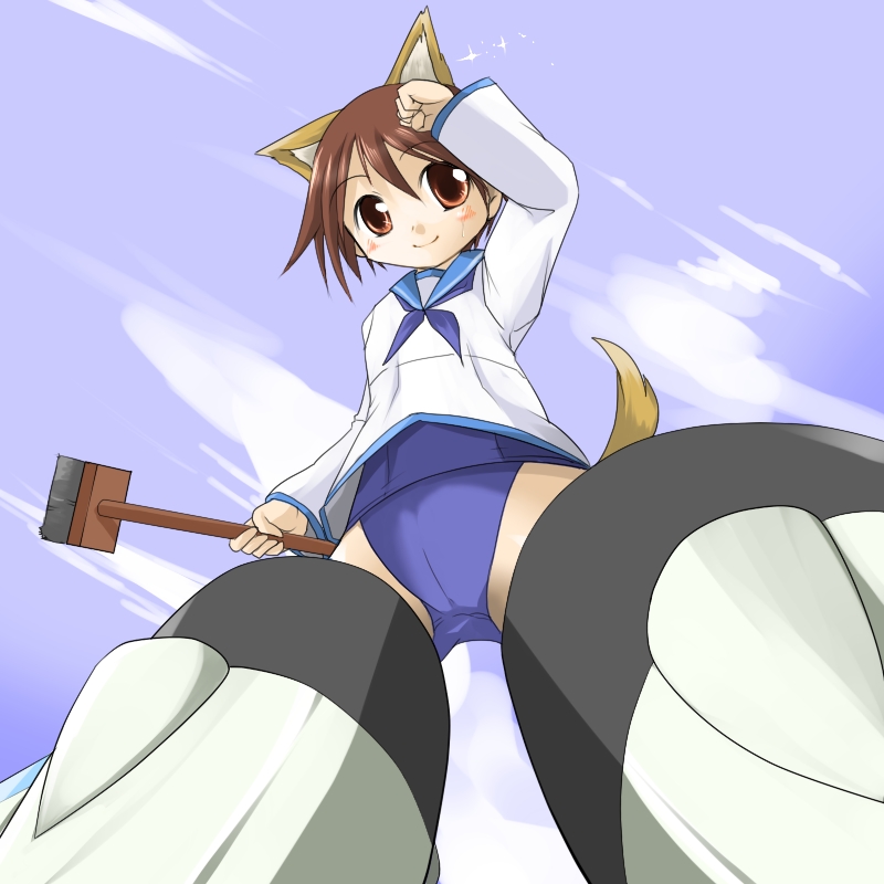 yoshizawa hikoto, miyafuji yoshika, strike witches, world witches series, bad id, bad pixiv id, 00s, 1girl, animal ears, brown eyes, brown hair, day, female focus, no pants, one-piece swimsuit, school swimsuit, school uniform, serafuku, short hair, sky, solo, striker unit, swimsuit, swimsuit under clothes, tail