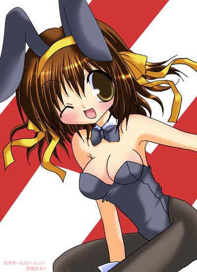 suzumiya haruhi, suzumiya haruhi no yuuutsu, tagme, 00s, animal ears