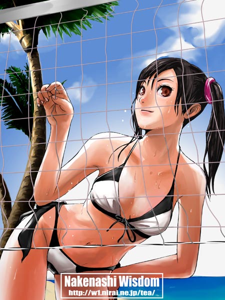 tea (nakenashi), ling xiaoyu, tekken, 1girl, bikini, black hair, breasts, brown eyes, day, female focus, hand on own hip, leaning forward, medium breasts, short twintails, side-tie bikini bottom, solo, swimsuit, twintails, volleyball net, watermark, web address, wet