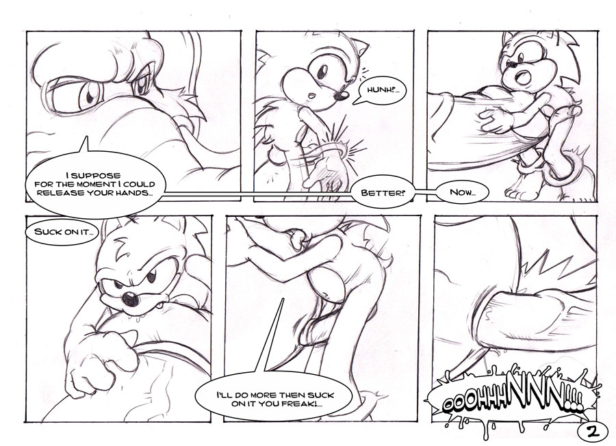 Rule34 – If it exists, there is porn of it / neokat, sonic the hedgehog / 91535