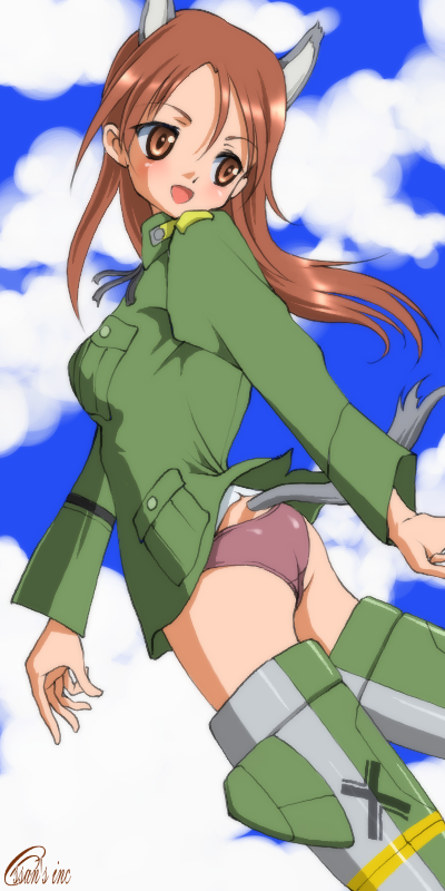 dr rex, minna-dietlinde wilcke, strike witches, world witches series, 00s, 1girl, animal ears, ass, brown eyes, brown hair, female focus, looking back, panties, purple panties, solo, striker unit, tail, underwear