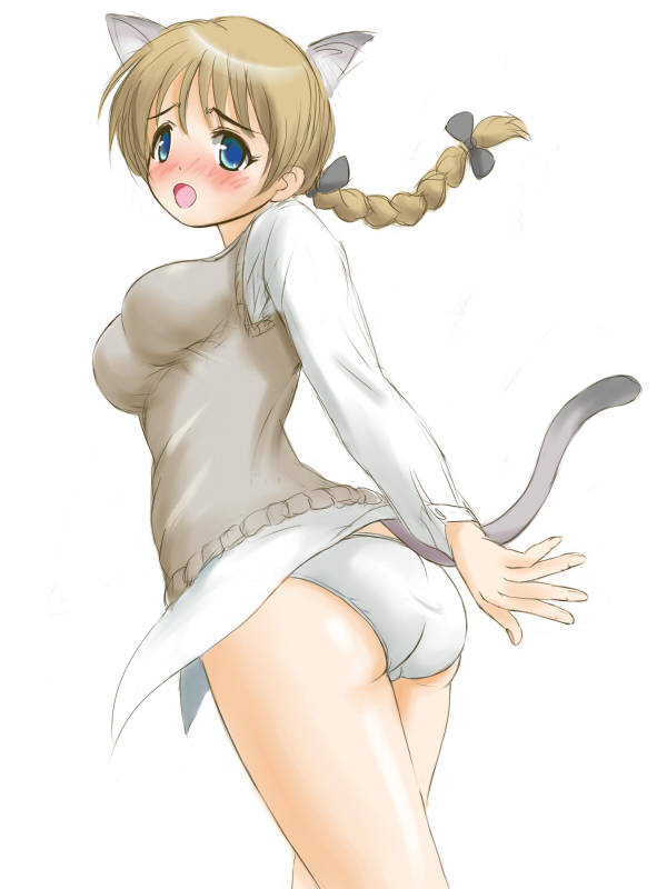 ginjyasei, lynette bishop, strike witches, world witches series, 00s, 1girl, animal ears, blue eyes, blush, braid, brown hair, female focus, panties, single braid, solo, underwear