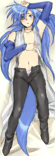 yagisaka seto, follower (yagisaka seto), original, lowres, 1boy, animal ears, blue hair, dakimakura (medium), eyepatch, full body, male focus, oekaki, solo, tail