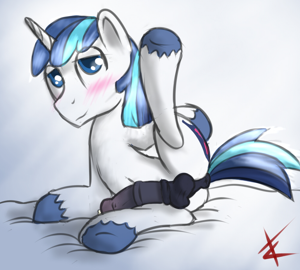 Rule34 – If it exists, there is porn of it / shining armor / 92190