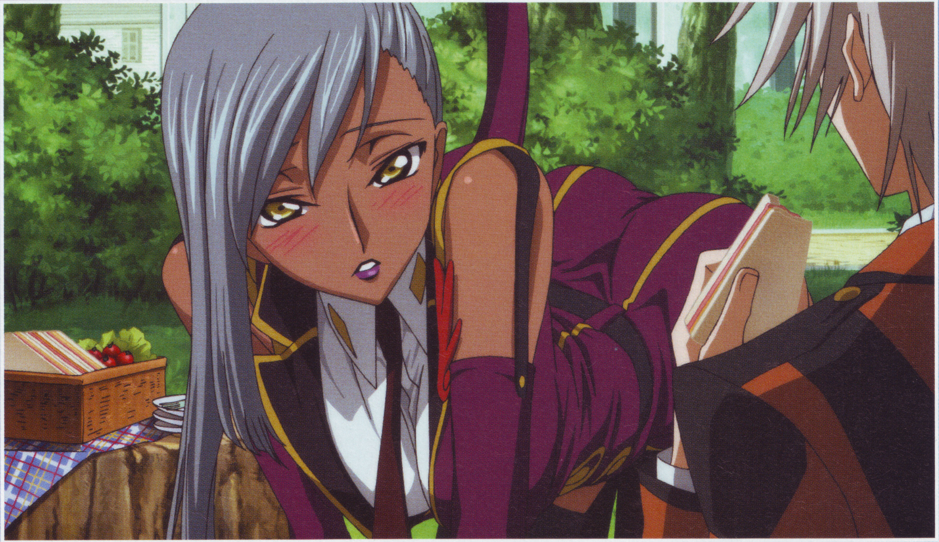 rai (code geass), villetta nu, code geass, code geass: lost colors, absurdres, highres, scan, 00s, 1boy, 1girl, blush, dark skin, picnic
