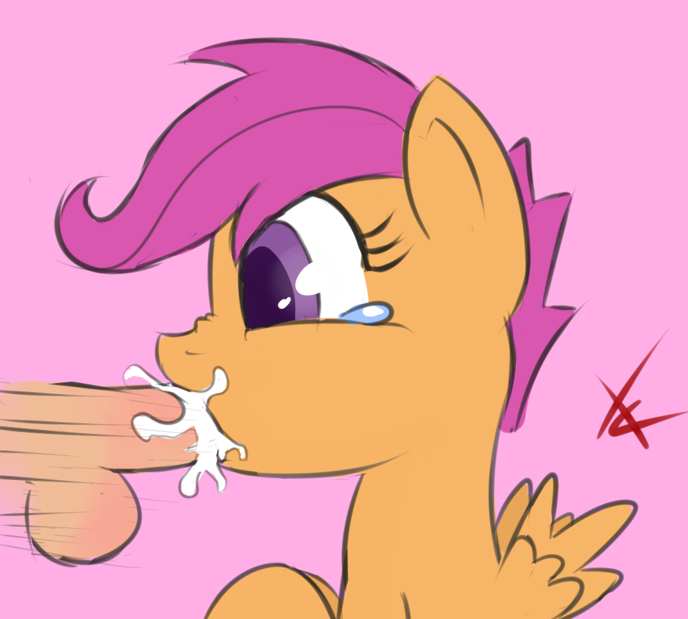 Rule34 – If it exists, there is porn of it / cutie mark crusaders, scootaloo (mlp) / 92351