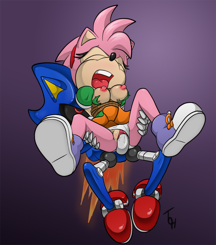 Rule34 – If it exists, there is porn of it / the other half, amy rose, amy rose (classic), metal sonic, sonic the hedgehog / 93308