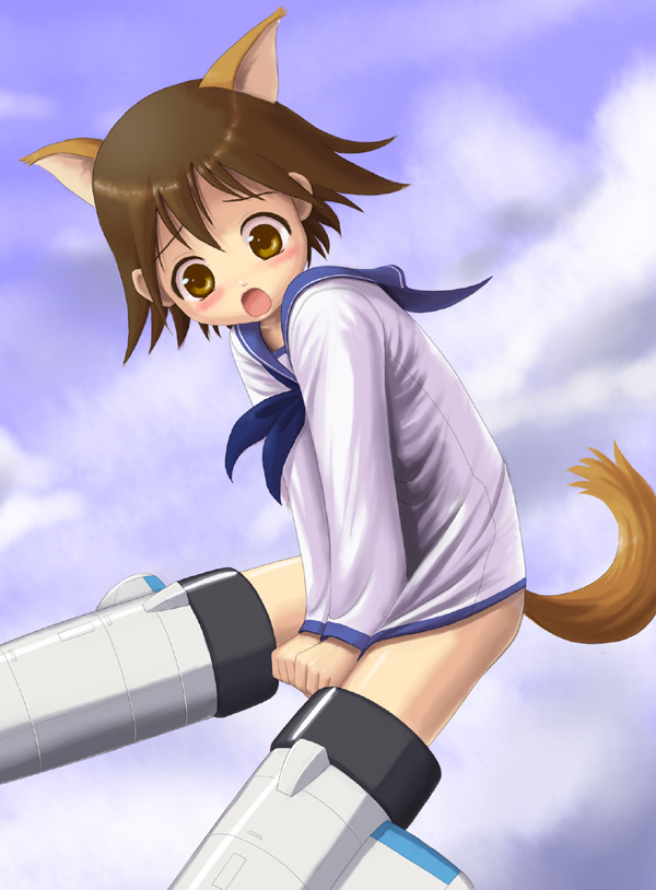 harak, miyafuji yoshika, strike witches, world witches series, bad id, bad pixiv id, 00s, 1girl, animal ears, embarrassed, female focus, solo, striker unit, tail