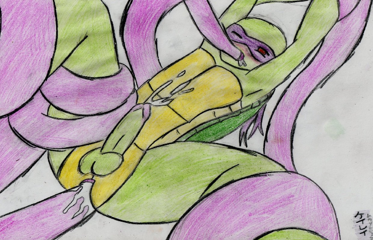 Rule34 – If it exists, there is porn of it / donatello / 93457